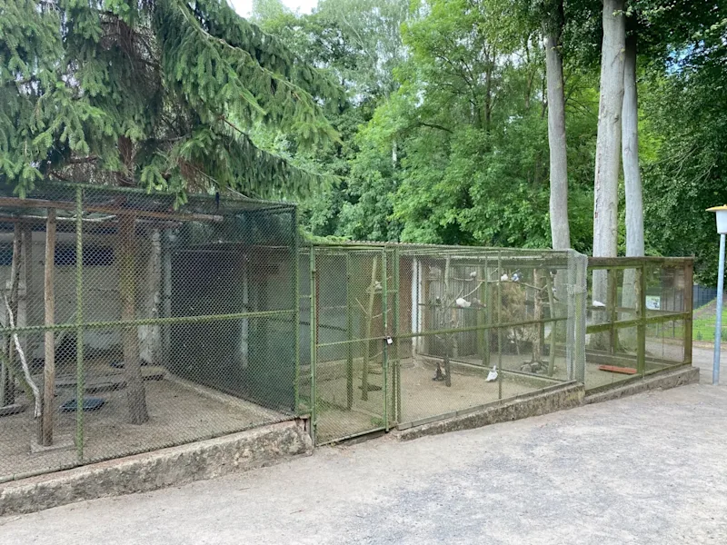 Projekt Vogelvolieren Klötze SAA alte Volieren