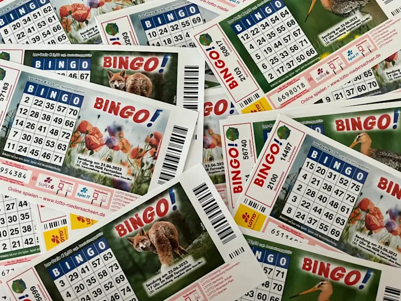 Was Kostet Ein Bingo Los In Niedersachsen Informationen zu unseren BINGO!-Losen | BINGO! - Die Umweltlotterie