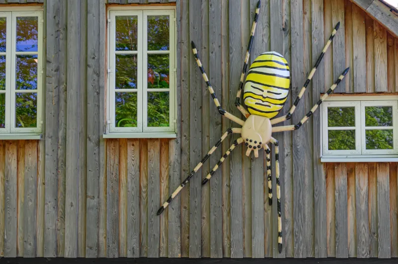 Projekt Spinnenausstellung Braunschweig 3D-Modell 