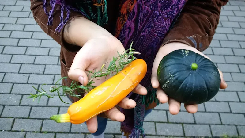 Projekt GRÜN(T)RAUM Hamburg Ernte