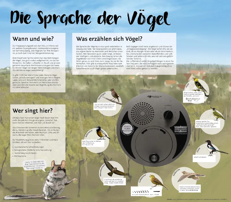 Projekt Vogellehrpfad RLP: Infotafel Vogellaute