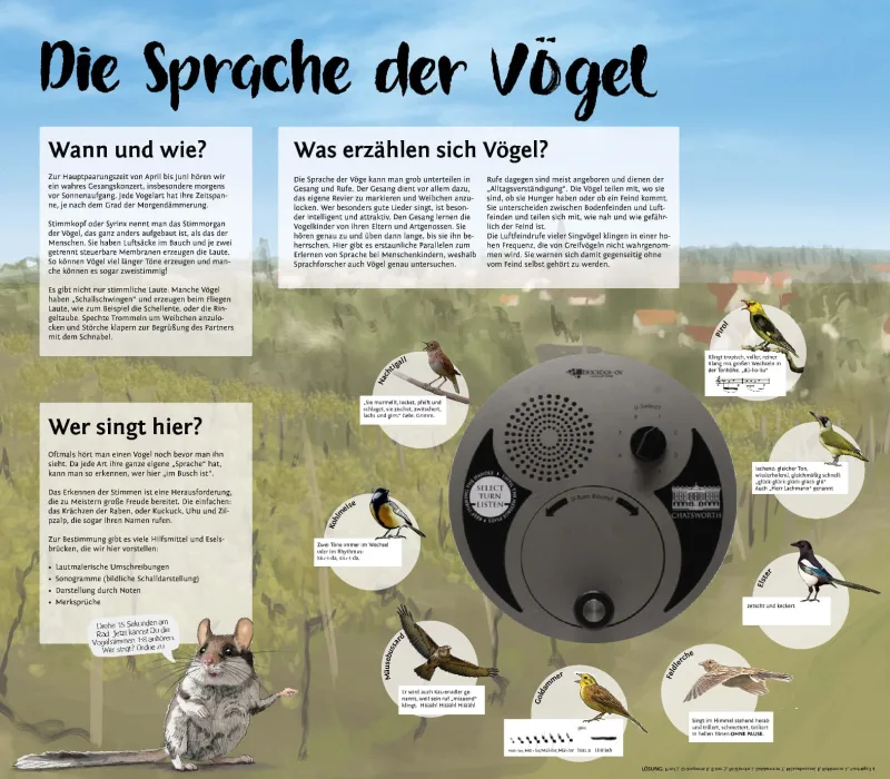 Projekt Vogellehrpfad RLP: Infotafel Vogellaute