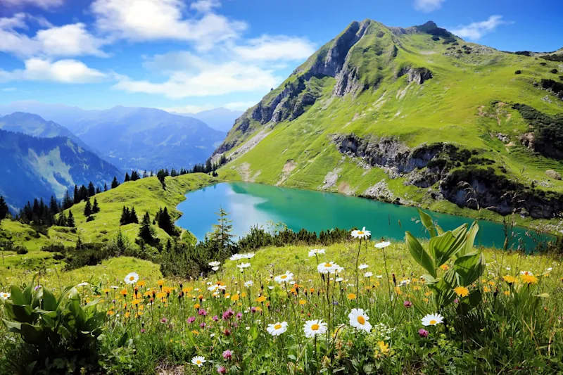 Das Allgäu