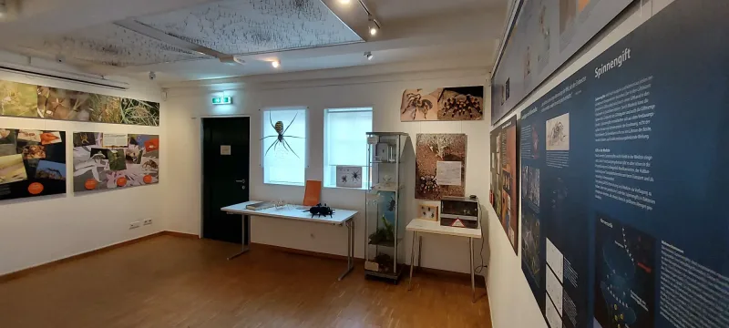 Projekt Spinnenausstellung Braunschweig Innenansicht