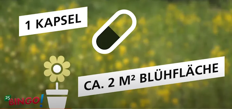 Futterautomat für Bienen Erklärung